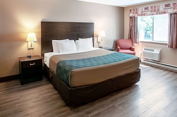 Standard Room, 1 King Bed, Non Smoking (Pet Friendly)