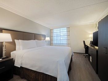 Standard Room, 1 King Bed, Accessible (Communications, Roll-In Shower)