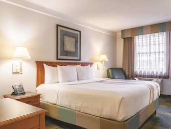 Room, 1 King Bed, Accessible (Mobility/Hearing Impaired Accessible)