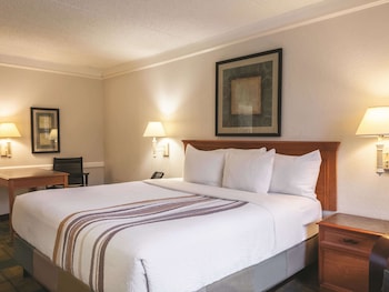 Room, 1 King Bed, Accessible (Mobility/Hearing Impaired Accessible)