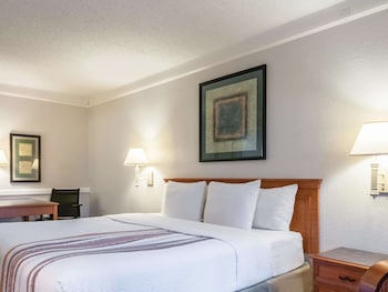Room, 1 King Bed, Accessible (Mobility/Hearing Impaired Accessible)