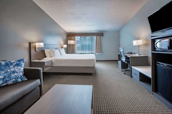 Deluxe Room, 1 King Bed, Non Smoking