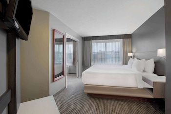 Deluxe Suite, 1 King Bed, Non Smoking (1 Bedroom)