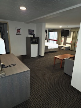 Studio Suite, Multiple Beds, Non Smoking (Hockey Theme)