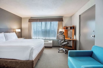 Room, 1 King Bed, Non Smoking