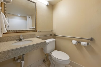Standard Room, 1 King Bed, Accessible, Non Smoking
