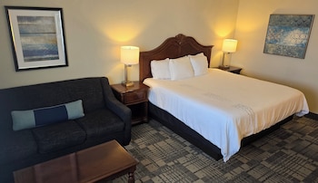 Standard Room, 1 King Bed, Non Smoking, Refrigerator & Microwave (with Sofabed)