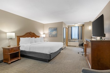 Standard Room, 1 King Bed, Non Smoking, Refrigerator & Microwave (with Sofabed)