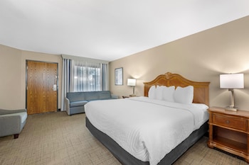 Standard Room, 1 King Bed, Refrigerator & Microwave, Pool View (2nd Floor;with Sofabed)
