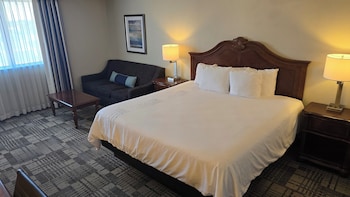 Standard Room, 1 King Bed, Non Smoking, Refrigerator & Microwave (with Sofabed)