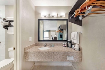 Standard Room, 1 King Bed, Non Smoking, Refrigerator & Microwave (Shower Only;Pet Friendly)