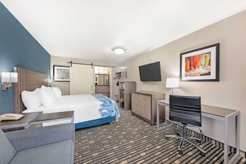 Standard Room, 1 King Bed, Accessible, Refrigerator & Microwave (with Sofabed)