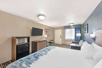 Standard Room, 1 King Bed, Accessible, Refrigerator & Microwave (with Sofabed)
