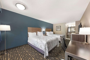 Standard Room, 2 Queen Beds, Non Smoking, Refrigerator & Microwave (Shower Only;Pet Friendly)
