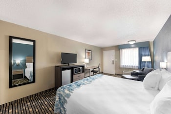 Standard Room, 1 King Bed, Non Smoking, Refrigerator & Microwave (Shower Only;Pet Friendly)