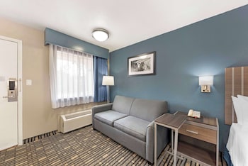 Standard Room, 1 King Bed, Accessible, Refrigerator & Microwave (with Sofabed)