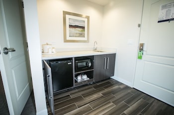 Studio, 1 King Bed, Non Smoking, Refrigerator & Microwave