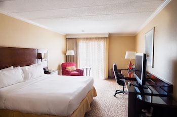 Room, 1 King Bed