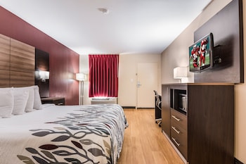 Deluxe Room, 1 King Bed, Non Smoking (Roll-In Shower)