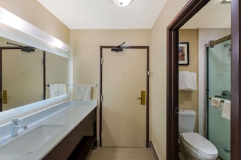 Standard Room, 1 King Bed with Sofa bed, Non Smoking