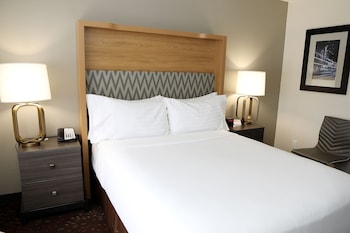 Standard Room, 1 Queen Bed, Accessible (Mobility)