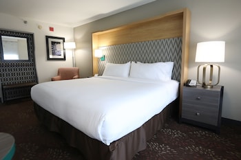 Standard Room, 1 King Bed, Accessible (Mobility)