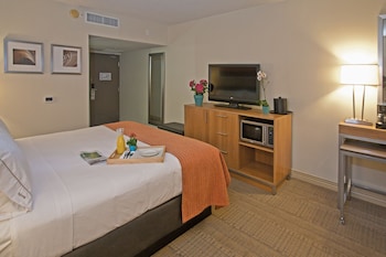 Standard Room, 1 King Bed, Accessible (Communications, Roll-in Shower)