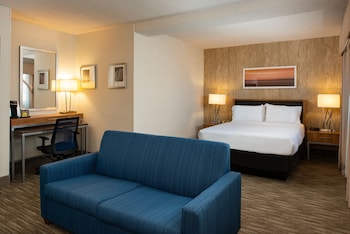 Suite, 1 Queen Bed
