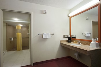 Room, 1 King Bed, Accessible, Smoking (Mobility/Hearing Impaired)