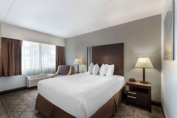 Standard Room, 1 Queen Bed, Accessible, Non Smoking