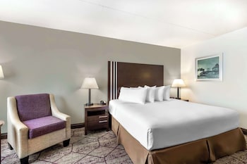 Standard Room, 1 Queen Bed, Non Smoking