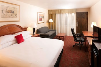 Premium Room, 1 King Bed with Sofa bed, Non Smoking