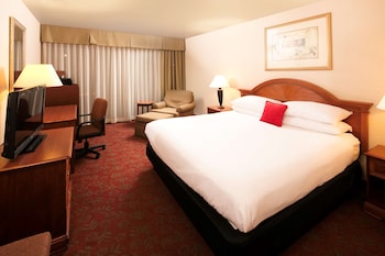 Standard Room, 1 King Bed, Accessible, Non Smoking