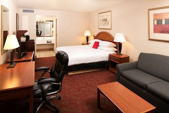 Premium Room, 1 King Bed with Sofa bed, Non Smoking