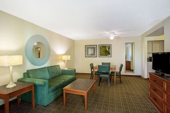 Suite (1 King Bed)