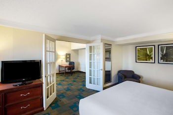 Suite (1 King Bed)