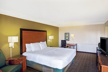 Room, 1 King Bed