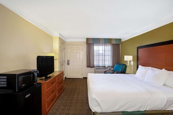 Suite (1 King Bed)