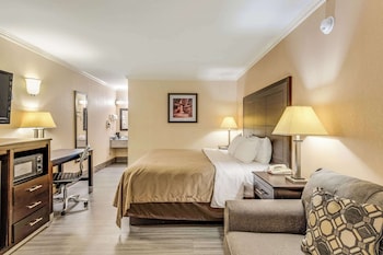 Room, 1 King Bed, Accessible, Non Smoking