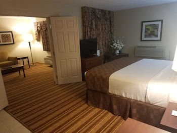 Suite 1 King Bed with Pull out couch with Hot Tub and with Kitchen