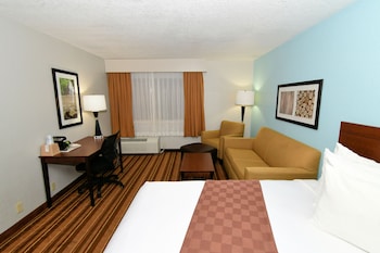 Executive Room, 1 King Bed, Non Smoking, with Pull out couch, with Refrigerator & Microwave