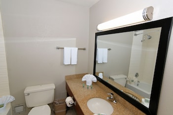 Executive Room, 1 King Bed, Non Smoking, with Pull out couch, with Refrigerator & Microwave