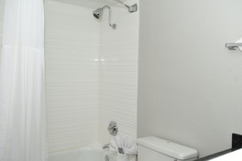 Executive 2 Queen Beds, Non Smoking, with Pull out couch with Refrigerator & Microwave