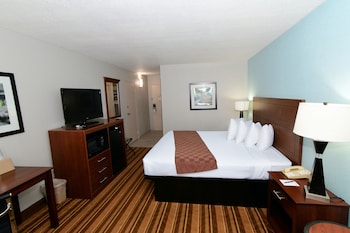 Standard Room, 1 King Bed, Non Smoking, Refrigerator & Microwave