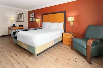 Room, 1 King Bed, Non Smoking (Mobility/Hearing/Roll-In Shower)