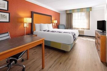 Room, 1 King Bed, Non Smoking (Mobility/Hearing/Roll-In Shower)
