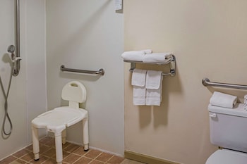 Room, 1 King Bed, Accessible, Non Smoking