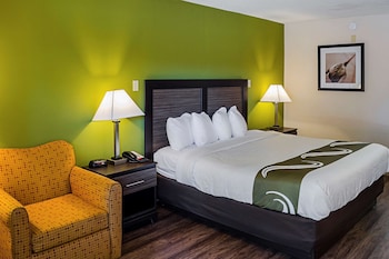 Standard Room, 1 King Bed, Non Smoking