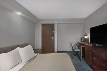 Suite, 1 Bedroom
