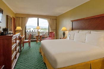 Superior Room, Terrace